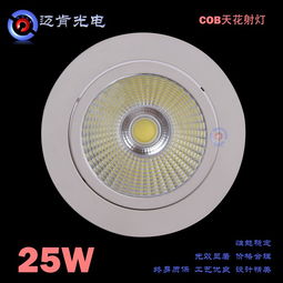 cob射燈 供應(yīng)商業(yè)照明下照式led燈具 工程款25wled
