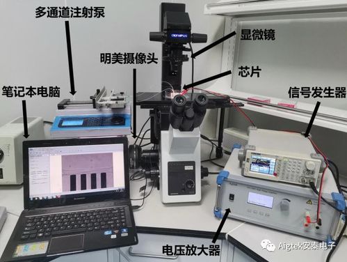 功率放大器在生物醫學領域測試研究中的應用與前景
